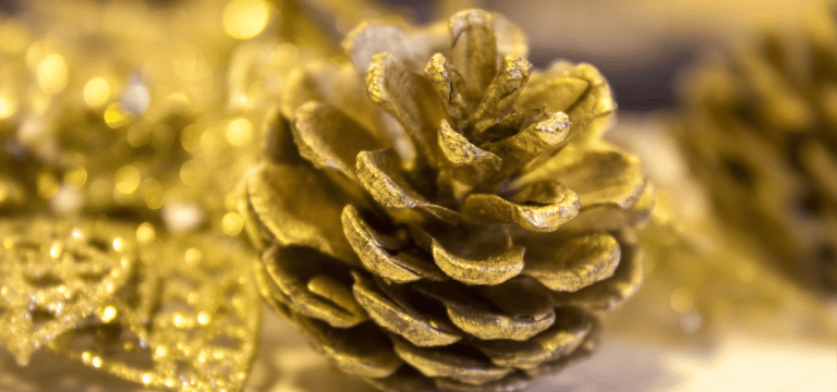 Gouden dennenappel als kerstdecoratie bij De Rheezerbelten
