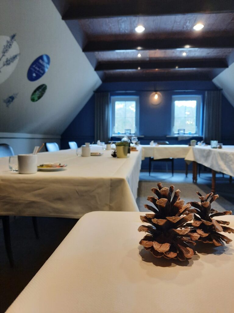 Vergaderzaal met een dennenappel op tafel