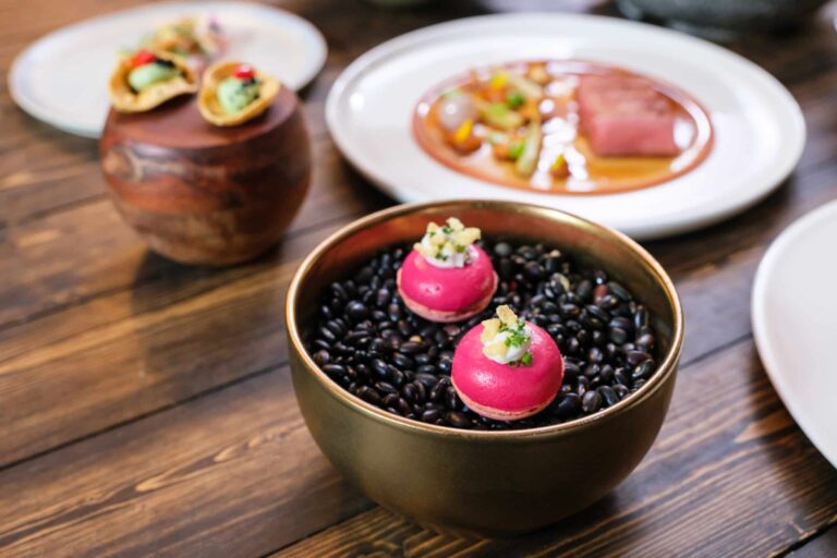 RB.gerechten.amuses.hapjes.macaron.papadum.rodebiet.mierikswortel.sweetpepper.startdiner.smaakpapil
