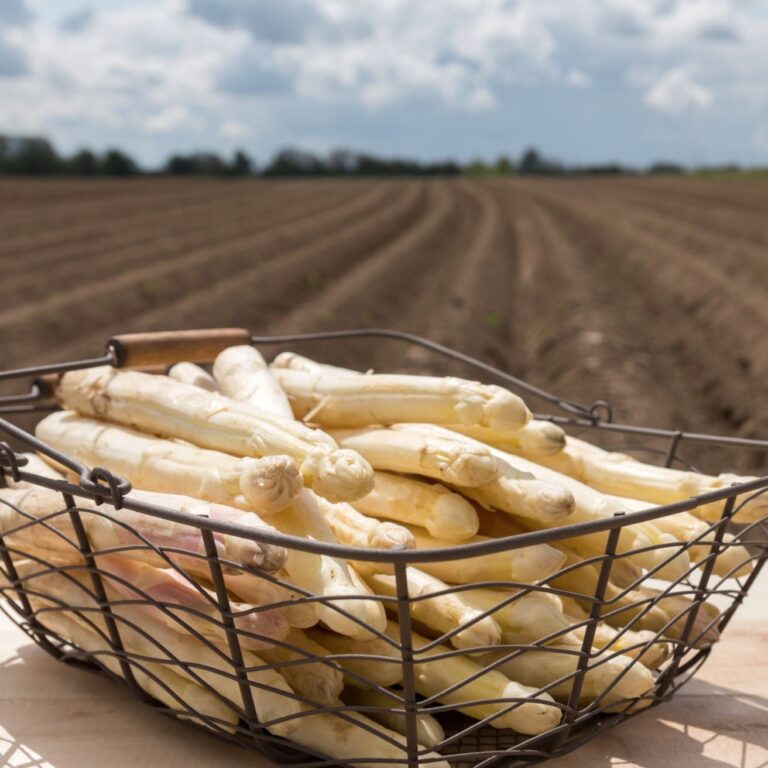 Seizoen.asperge.in de mand, start aspergeseizoen