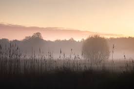 Mistig herfstlandschap in het Vechtdal bij zonsopgang